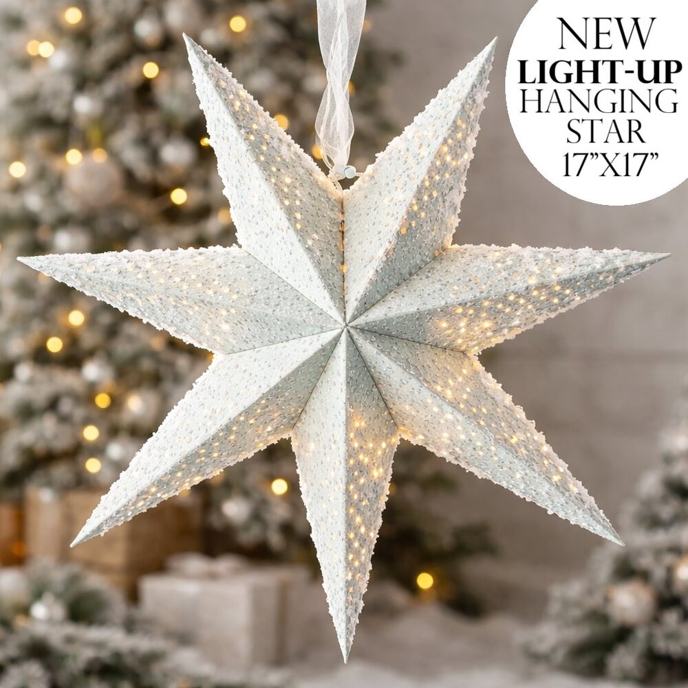 NEW Light Up Battery Operated Flocked Star Christmas Hanging Decoration Decor Ho